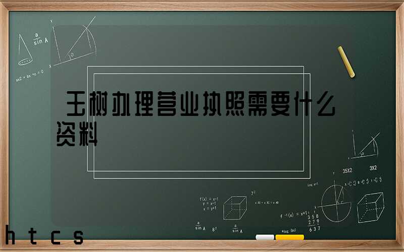 玉树办理营业执照需要什么资料?清单分享!